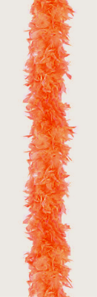 Pulykatoll boa